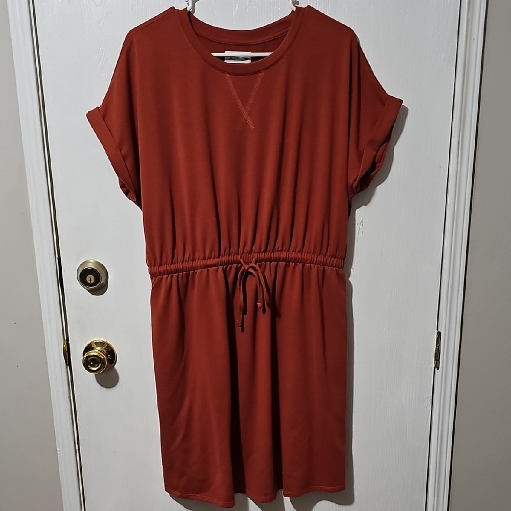 Elegant Rust Mini Dress